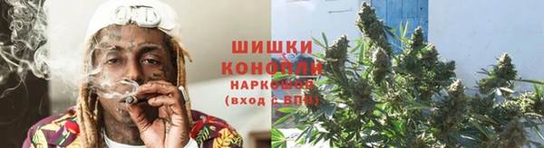 МДПВ Гусев