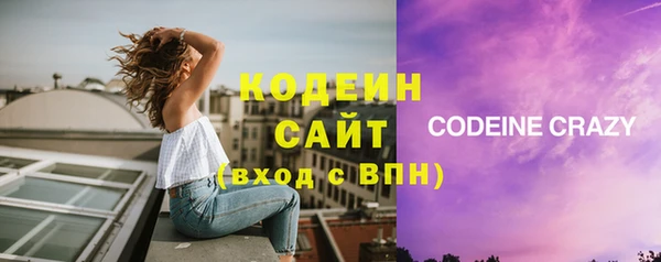 индика Горно-Алтайск