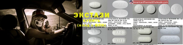 хмурый Гусь-Хрустальный