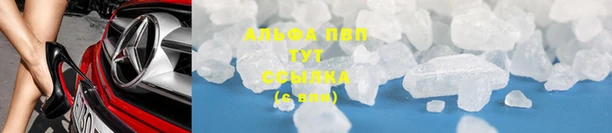 индика Горно-Алтайск