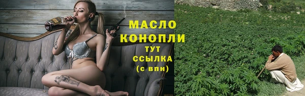 МДПВ Гусев