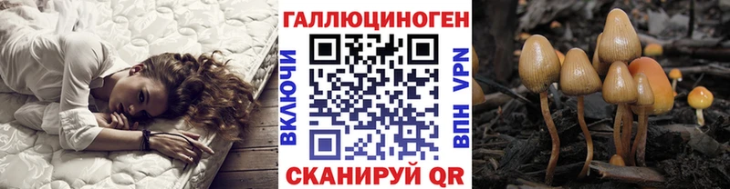 Купить закладки  Лениногорск  Галлюциногенные грибы Cubensis 